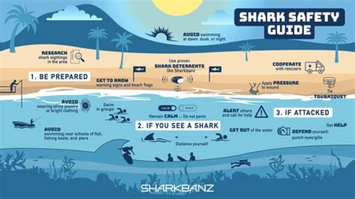 8 Life-Saving Tips to Avoid a Shark Attack — Best Life