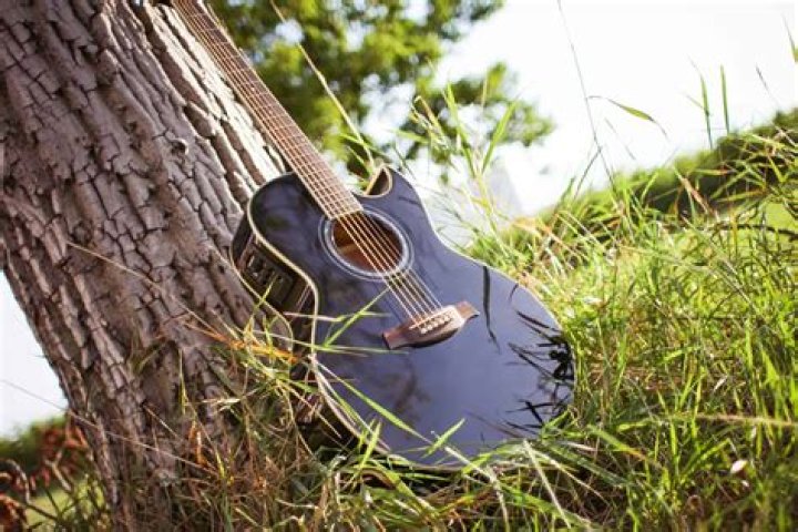Can Jamie Lee Curtis Play Guitar?