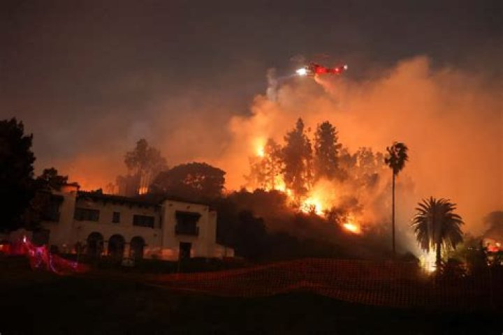Couple Takes Wedding Photos in Front of Raging Wildfire, Goes Viral