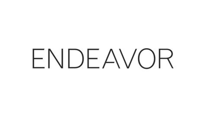 Endeavor Swings To A Loss In Q1