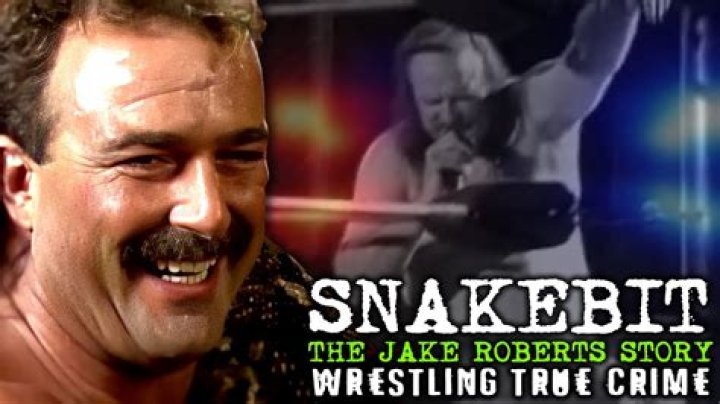 Jake Roberts Net Worth | Celebrity Net Worth