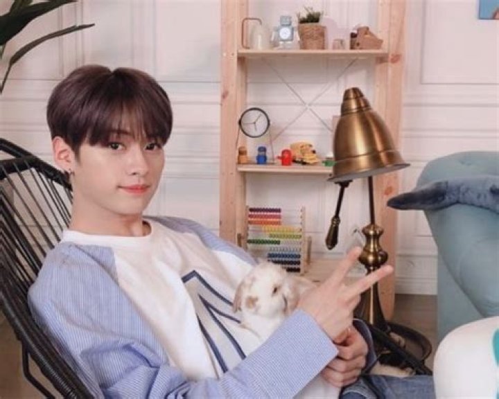 Lee Know Height, Weight, Age, Girlfriend, Family, Facts, Biography