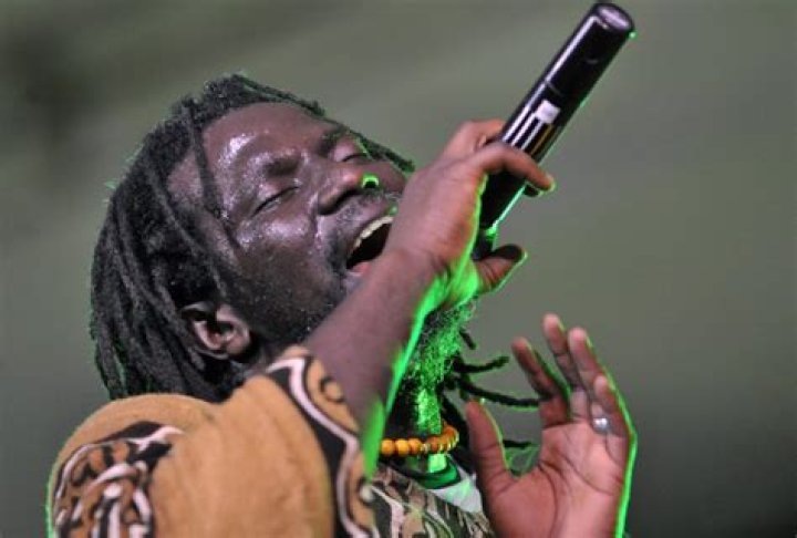 Tiken Jah Fakoly Net Worth