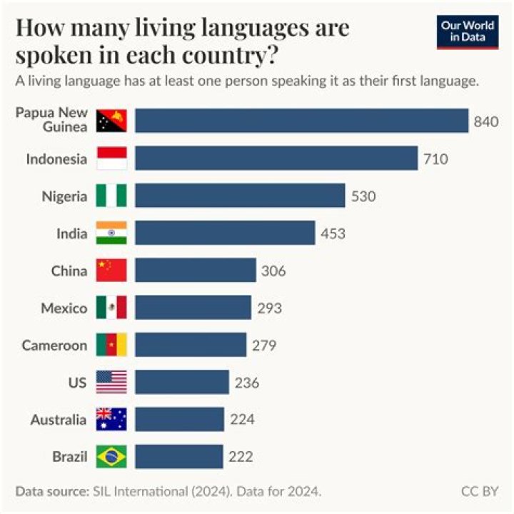 What Languages Does Idris Elba Speak?