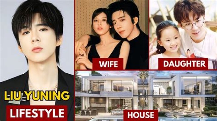 Who is Liu Wen Dating Now